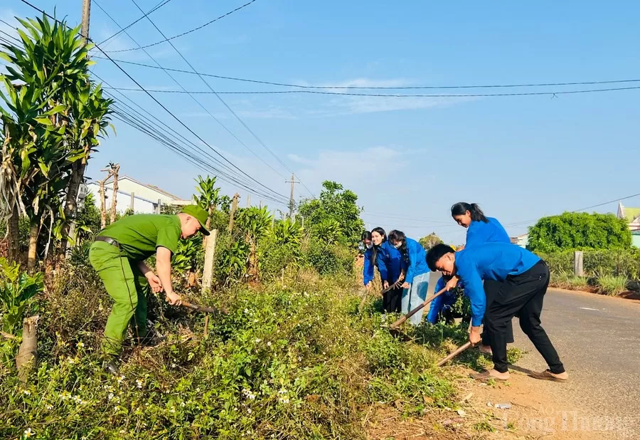 Dấu ấn người trẻ trên hành trình đổi mới nông thôn