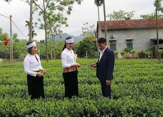 Chính sách giảm nghèo tạo dựng sinh kế bền vững cho đồng bào dân tộc Thủ đô