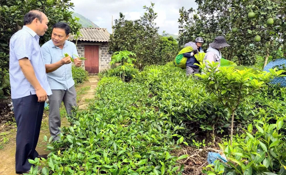 Yên Bái: Kích hoạt giải pháp hoàn thành mục tiêu giảm nghèo